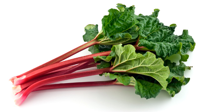 rhubarbe